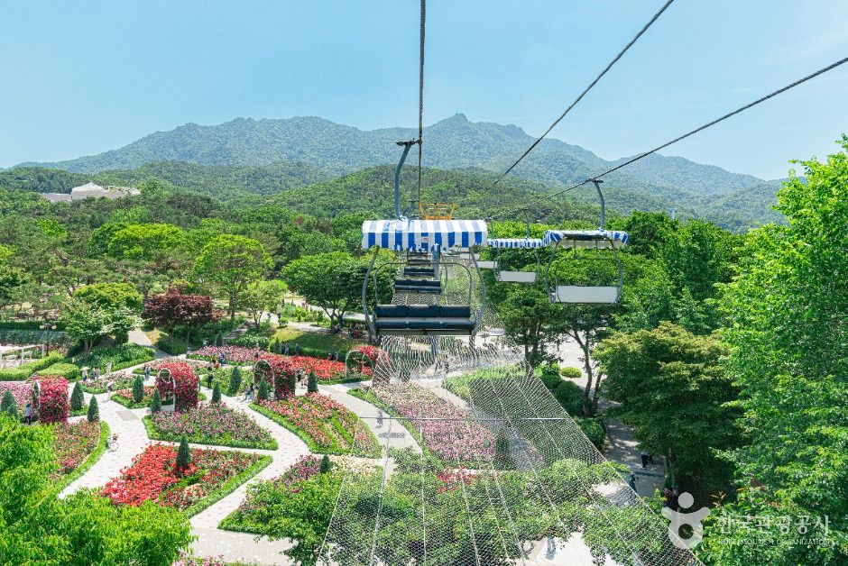 서울대공원 넓은 초원과 나무, 정자가 보이는 산책 공간