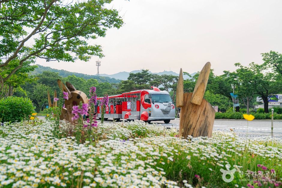 서울대공원 호숫가 데크 산책로와 나무 그늘