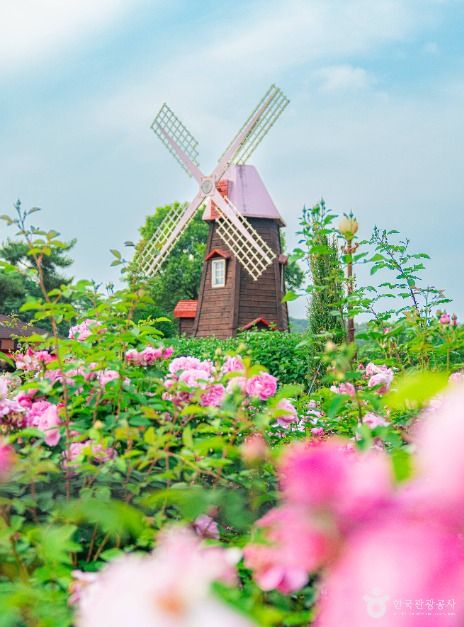 서울대공원 호수와 산자락이 보이는 전경
