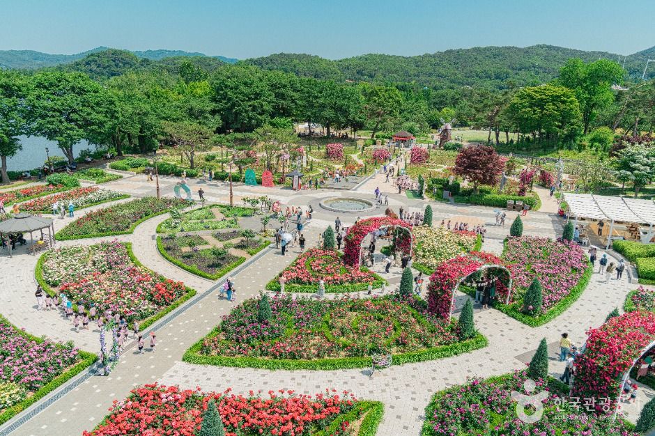 서울대공원 테마가든의 넓은 꽃밭과 산책길