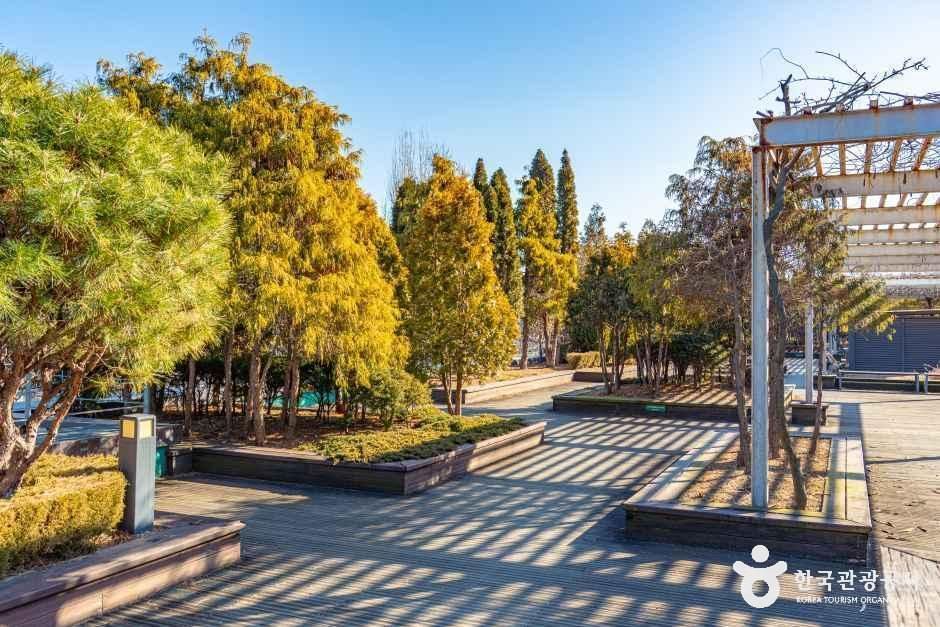 서서울호수공원 나무와 넓은 잔디가 이어지는 공원 풍경