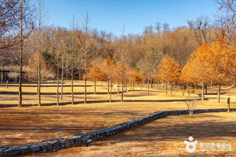 서서울호수공원 호수 주변의 나무와 산책길