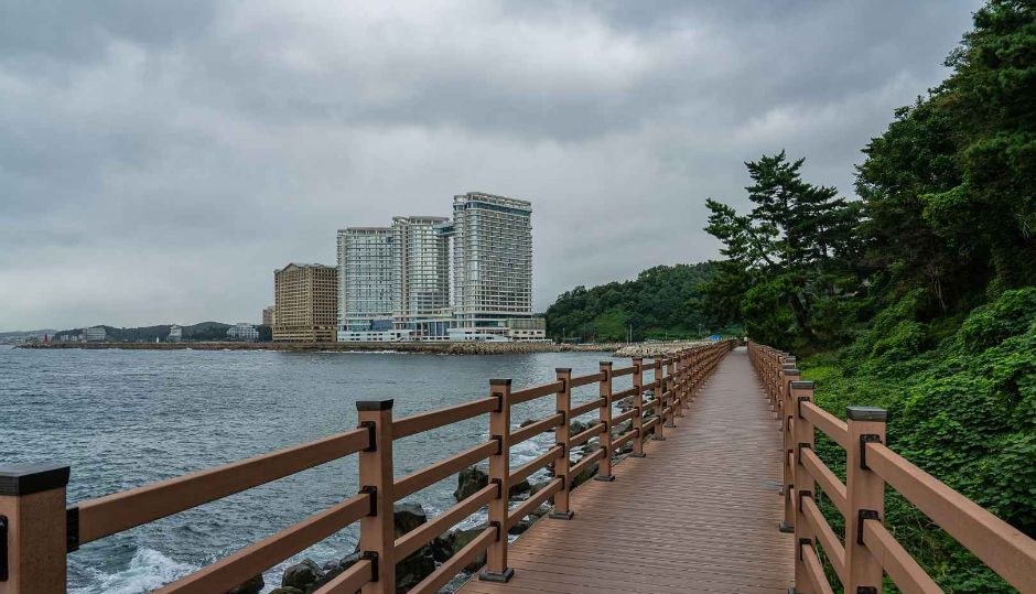 바다를 따라 나무 데크 길이 이어지고 멀리 해변 건물이 보이는 외옹치 바다향기로