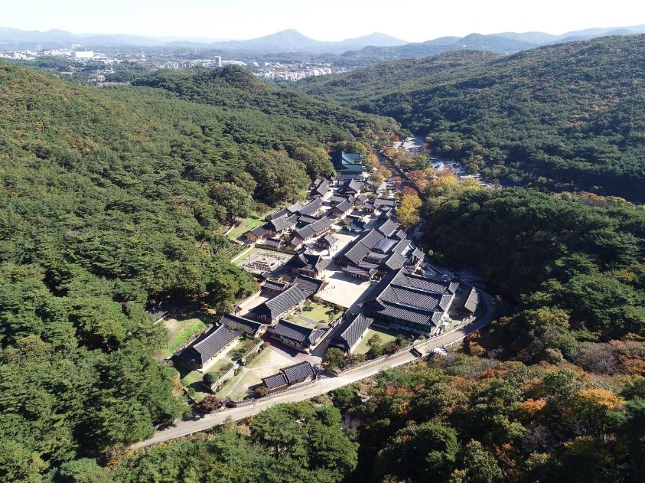 산자락을 배경으로 여러 전각이 이어진 통도사 사찰 경내를 위에서 내려다본 전경