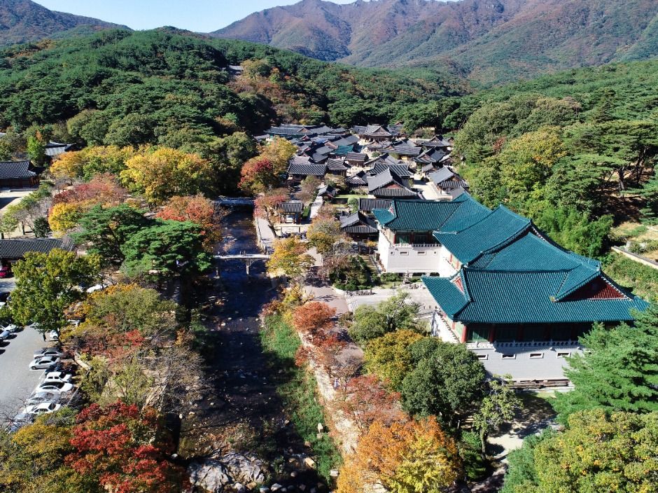 단풍이 물든 산자락 아래 개울과 다리, 여러 전각이 이어진 통도사 경내를 가을에 내려다본 모습