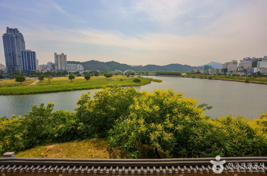 태화루에서 바라본 태화강과 강변 녹지